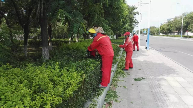 物业管理新趋势：丹江口物业公司的角色与发展